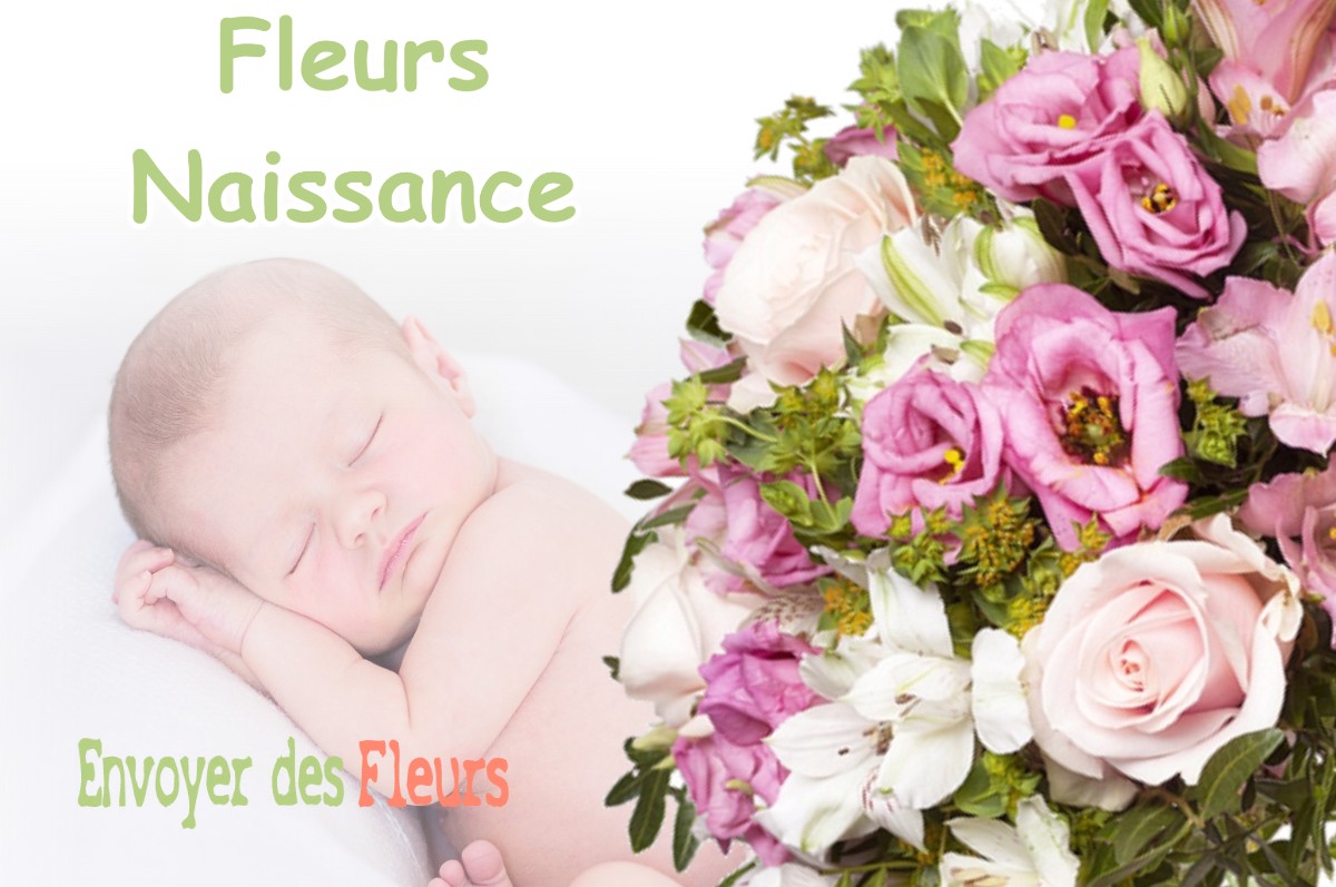 lIVRAISON FLEURS NAISSANCE à GEMIL